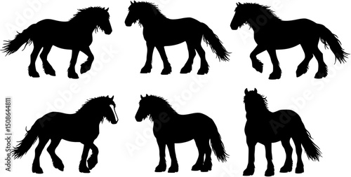 A set of six Gypsy Vanner horse vector silhouette designs. Simple collection. Isolated bundle on white background.
