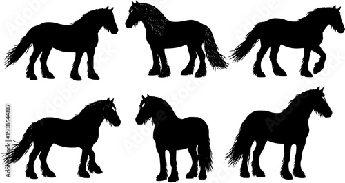 A set of six Gypsy Vanner horse vector silhouette designs. Simple collection. Isolated bundle on white background.
