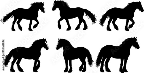 A set of six Gypsy Vanner horse vector silhouette designs. Simple collection. Isolated bundle on white background.
