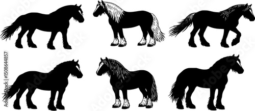A set of six Gypsy Vanner horse vector silhouette designs. Simple collection. Isolated bundle on white background.
