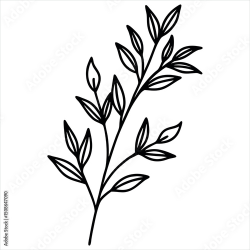 Minimal Botanical Leaf Branch Line Art Illustration on White Background