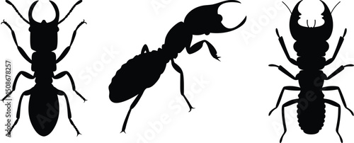 Best Termite Silhouette, Vectors, Free Clipart & Wood Damage, Termite Silhouette SVG, Vector, Logo, Tattoo, Icon & Pest Art Design, termite isolated on white background, eps10.