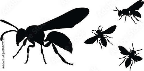 Set of wasp Silhouette, Striking Vector Art, Free Clipart & Stinger Designs, Clipart, Tattoo, Logo, Icon & Insect art Design, Wasp isolated on white background, eps10.