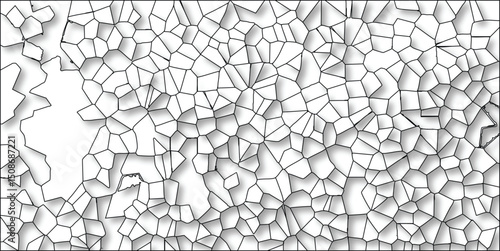 Abstract black and white vector illustration of a cellular pattern displaying interconnected geometric shapes and organic forms