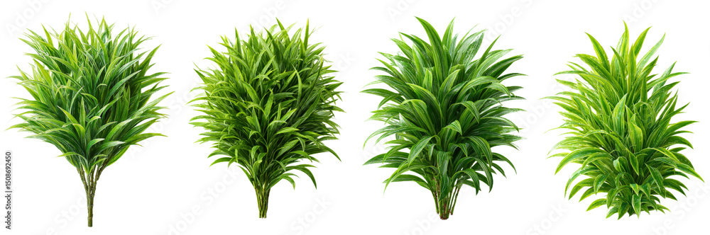 Obraz premium Lush Green Plant Foliage Display in Four Distinct Arrangements