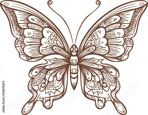 Intricate line drawing of a butterfly with ornate patterns, artistic design. Vector illustration