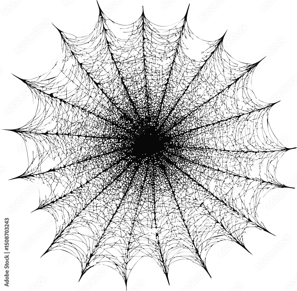 Obraz premium Intricate black and white spider web design with radial symmetry. Vector illustration