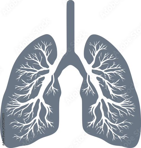 Diagram of human lungs with bronchial branches in grey and white tones. Vector illustration