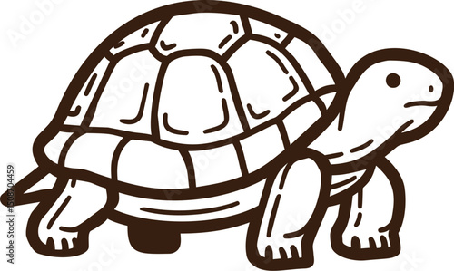 Illustration of a turtle in brown outline with detailed shell and legs. Vector illustration