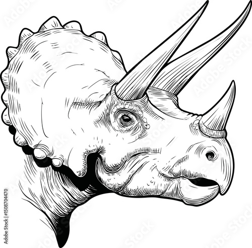 Detailed black and white triceratops illustration with large horns and rugged skin. Vector illustration