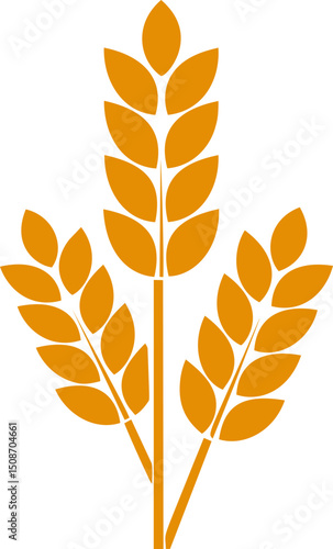 Golden wheat ears icon, agriculture symbol vector. Vector illustration