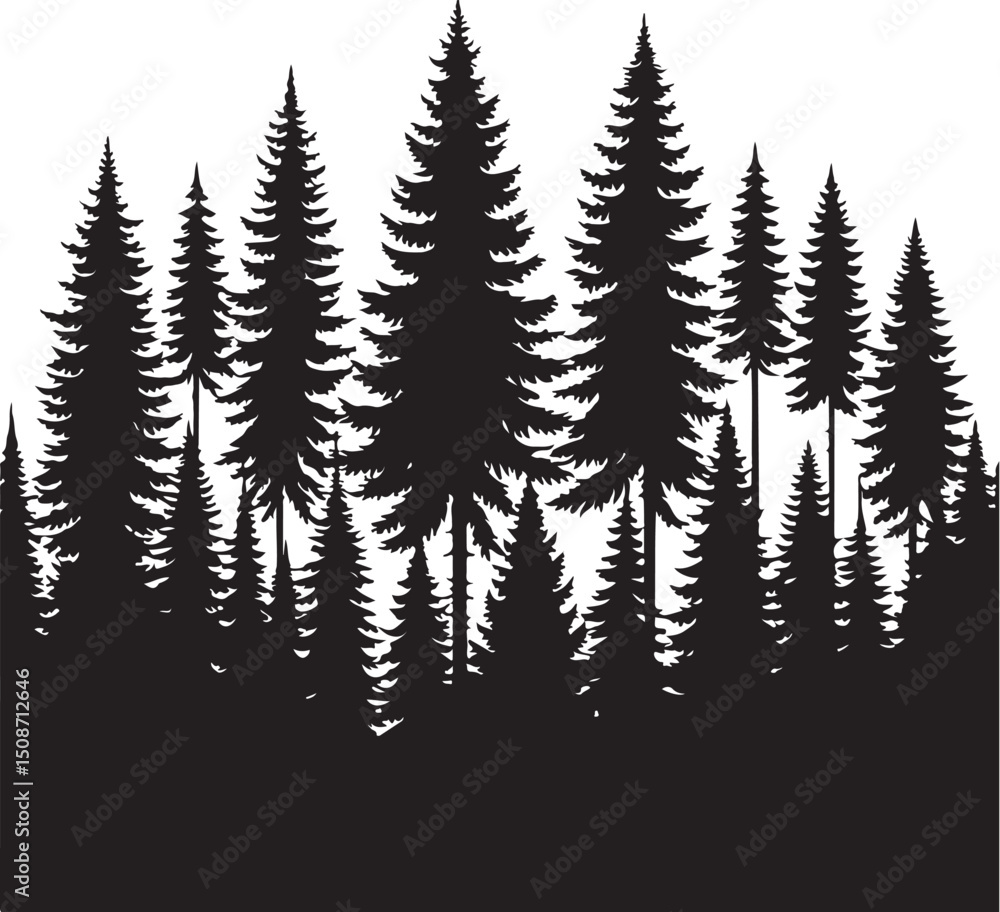 Fototapeta premium Evergreen trees forest vector, pine tree forest silhouette