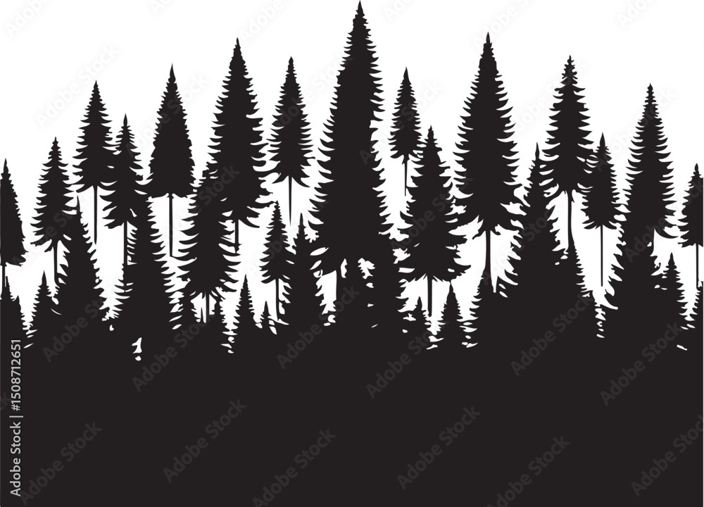 Fototapeta premium Evergreen trees forest vector, pine tree forest silhouette