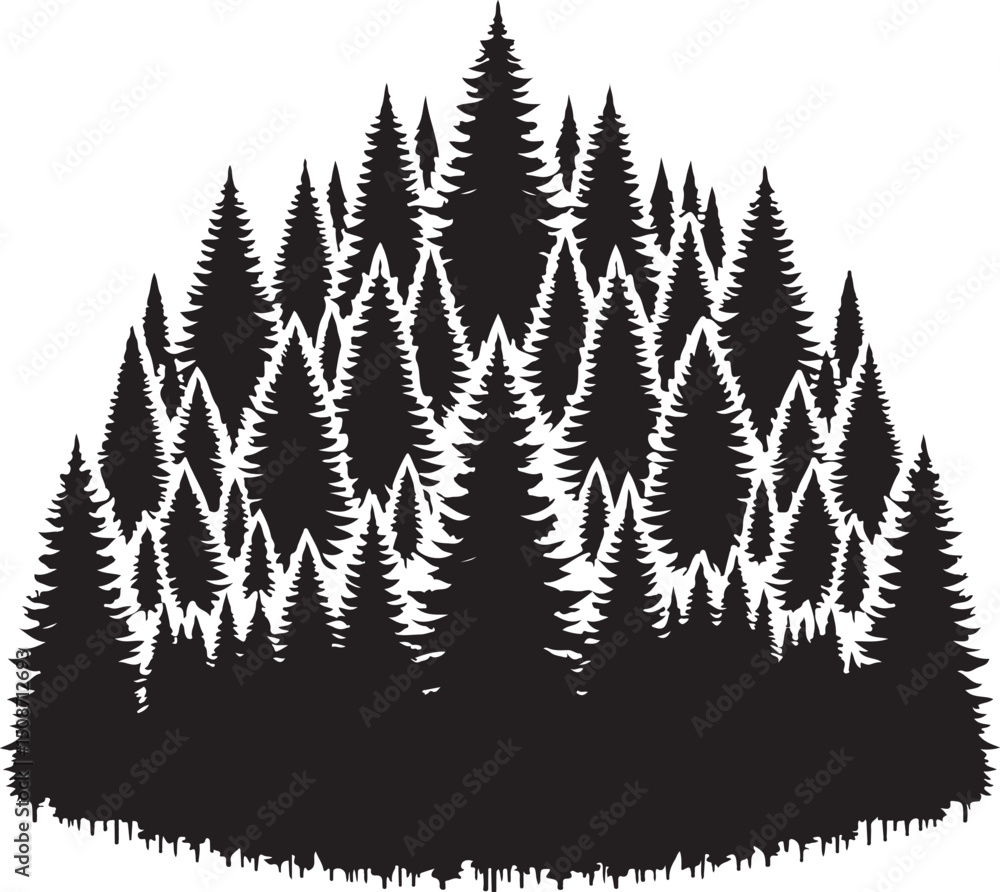 Fototapeta premium Evergreen trees forest vector, pine tree forest silhouette