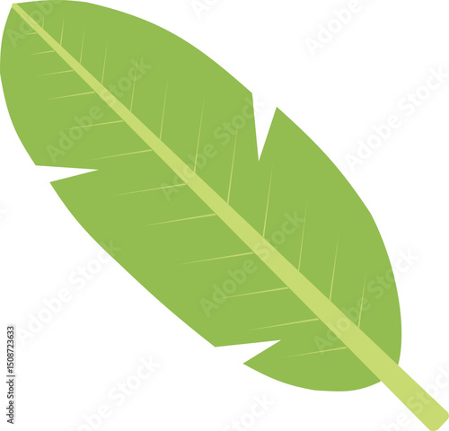 Vector illustration of green leaf on white background