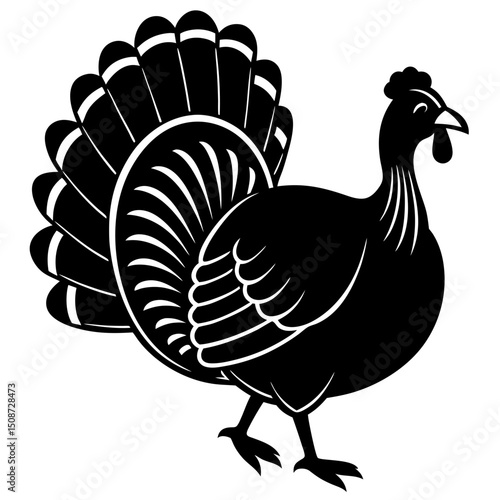 vector illustration of turkey