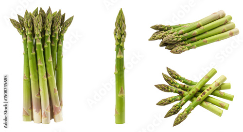 Fresh green asparagus vegetable assortment for healthy eating isolated PNG with Transparent Background
