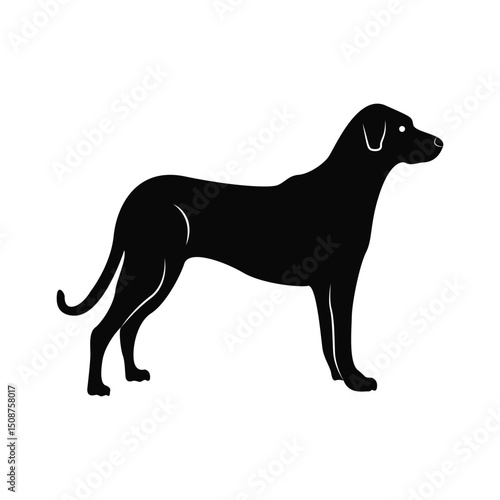Black Labrador Dog Silhouette Vector Illustration