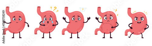 Set of cartoon stomachs with different emotions: happy, sad, confused, pain, and angry. Medical and educational illustration on transparent background