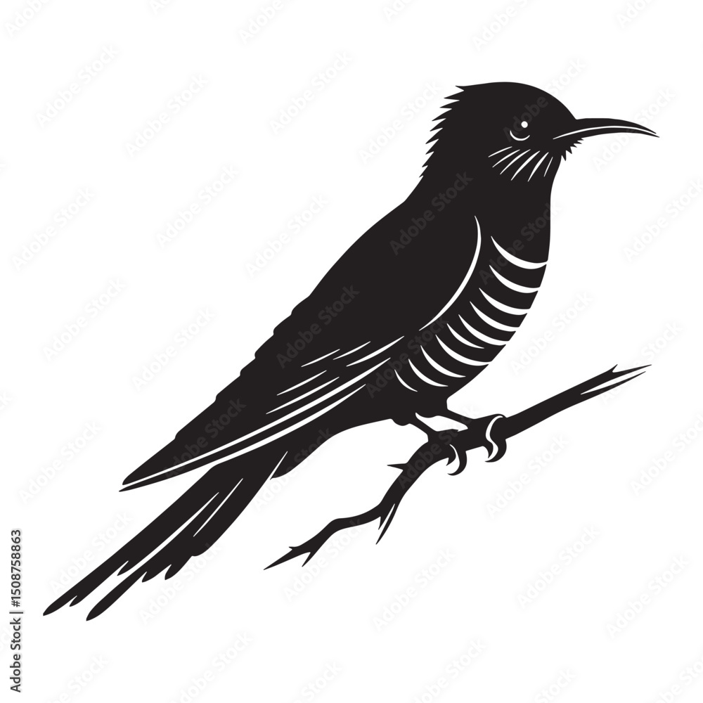 Fototapeta premium Cuckoo silhouette with open wings – Cuckoo illustration – Minimalist Cuckoo vector – Bird silhouette – Bird vector