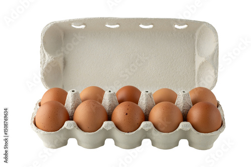 Cardboard carton box with fresh brown chicken eggs isolated on white background.