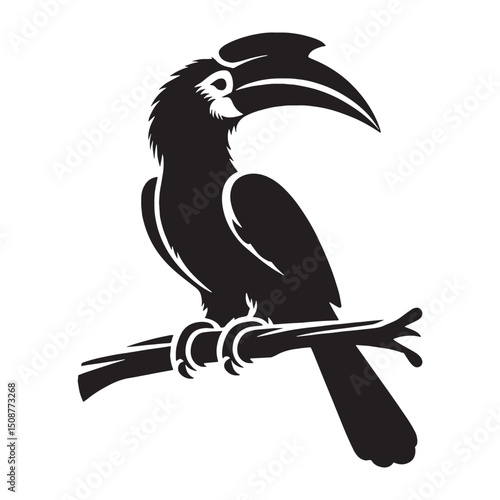 Elegant Hornbill silhouette with detailed beak – Hornbill illustration – Minimalist Hornbill vector – Bird silhouette – Bird vector

