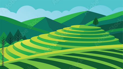 quiet rice fields at dusk with glowing sky