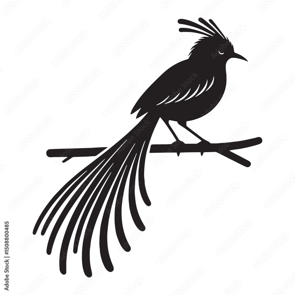 Naklejka premium Bold Lyrebird silhouette in graceful flight – Lyrebird illustration – Minimalist Lyrebird vector – Bird silhouette – Bird vector