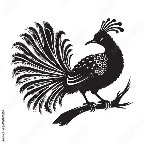 Majestic Lyrebird silhouette with graceful tail – Lyrebird illustration – Minimalist Lyrebird vector – Bird silhouette – Bird vector

