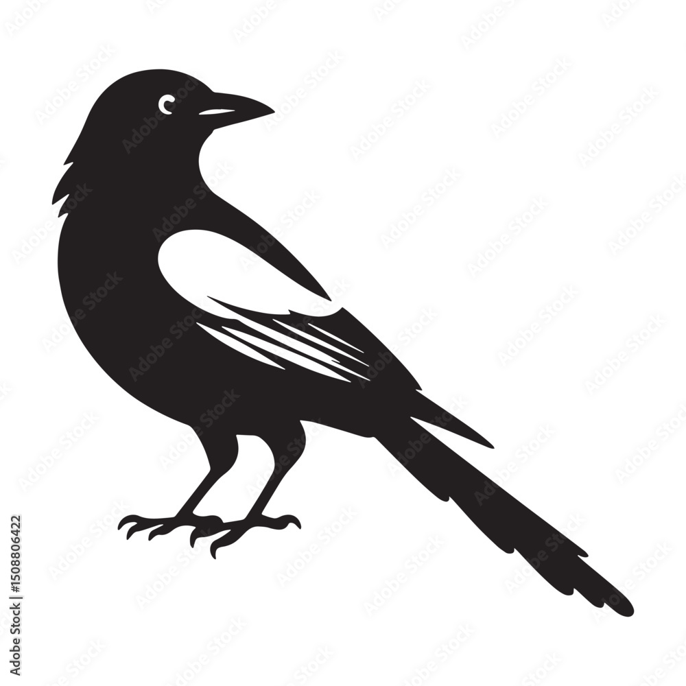 Fototapeta premium Elegant Feathered Magpie silhouette – Magpie illustration – Minimalist Magpie vector – Bird silhouette – Bird vector