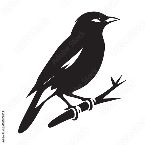 Mynah silhouette showcasing flight grace – Mynah illustration – Minimalist Mynah vector – Bird silhouette – Bird vector


