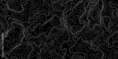 Mountain topographic terrain map background with white shape lines texture.Abstract line art background vector. Abstract line art background vector. Design illustration for wall art, fabric, packaging