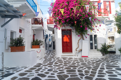 Fototapeta Naklejka Na Ścianę i Meble -  typical coloful white street of Mykonos island, Greece