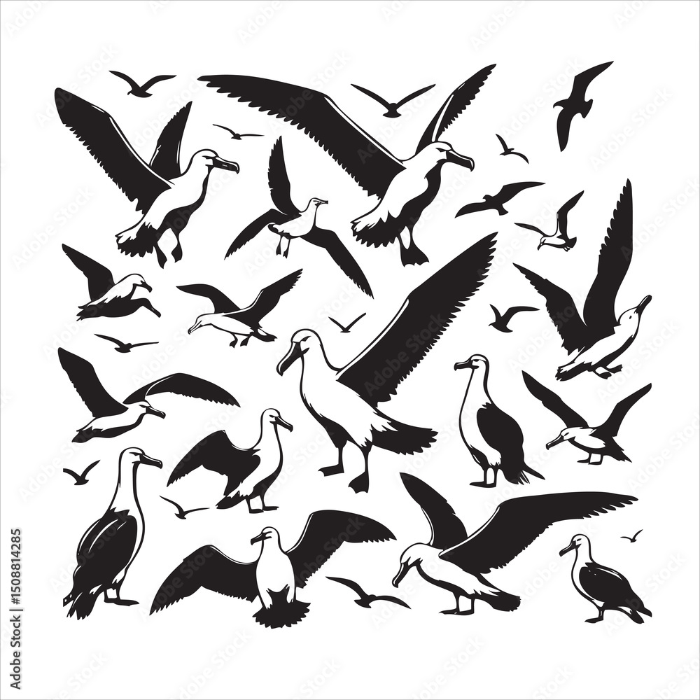 Bird Silhouette vector art illustration. black bird vector design. Bird Silhouette vector art illustration. black bird vector design.