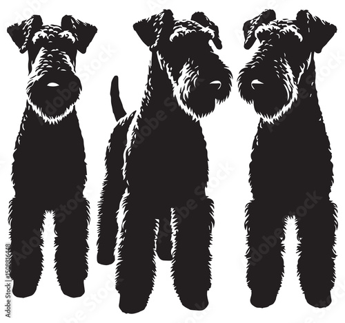 Airedale Terrier Silhouette Vector Art: Black & White Dog Breed Illustration for Pet Lovers, Graphic Design, and Animal Art Projects