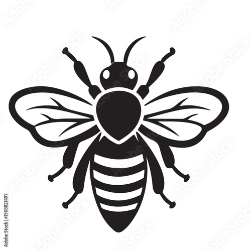 bee vector Illustration