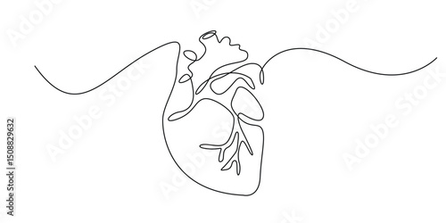 continuous line drawing of human heart.one line drawing of human heart blood circulation organ.line art vector illustration