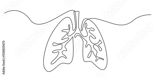 continuous line drawing of lungs.single line drawing of lungs human respiratory organ.line art vector illustration