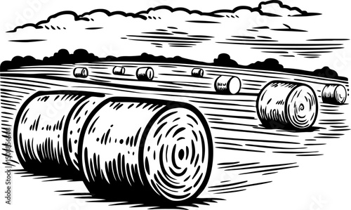 illustration of hay bales in rural field black and white farm landscape, summer agriculture scene