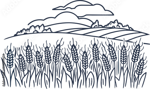 Wheat field illustration with rolling hills and clouds backdrop agricultural and rural landscape scene