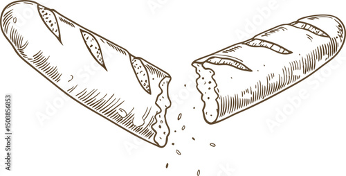 broken baguette illustration freshly baked bread symbolizing sharing and simplicity in baking culture