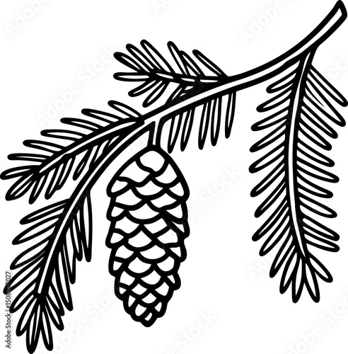 Detailed pine cone illustration on branch nature, evergreen tree, botanical art design