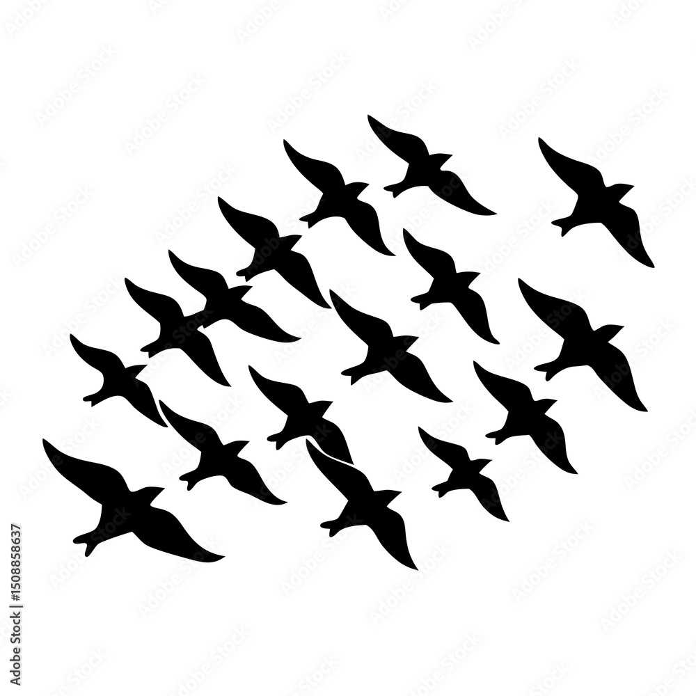 birds in flight white background birds in flight white background