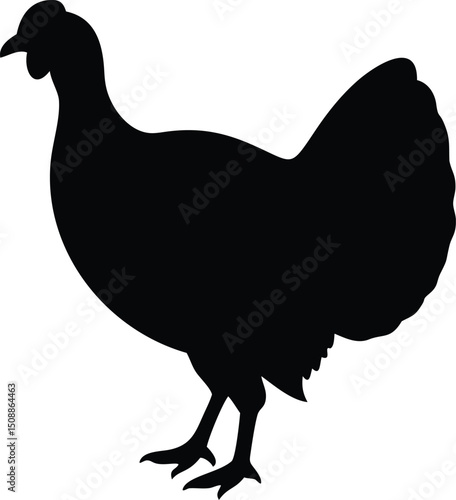 Black silhouette of a domestic turkey bird