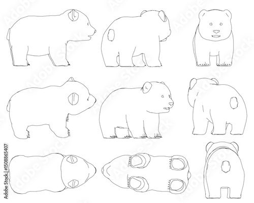 The image is a series of drawings of Panda in different poses. The Panda are all white and have no fur. The drawings are all in black and white, and they are all lined up next to each other