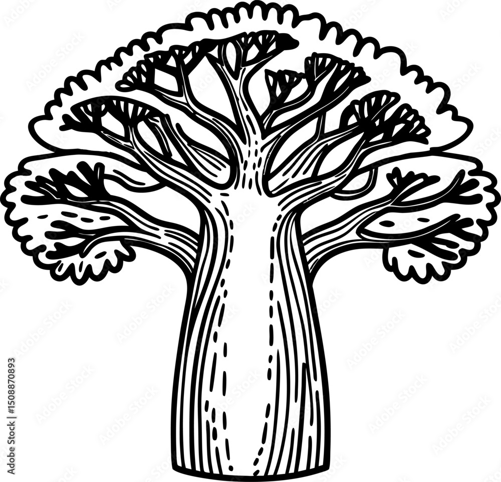 Fototapeta premium illustrated baobab tree with detailed branches and bark in black and white line art