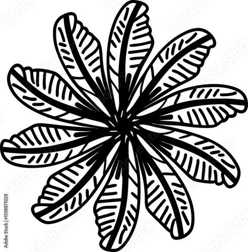 Abstract mandala flower with symmetrical, intricate line petals black and white floral decorative element