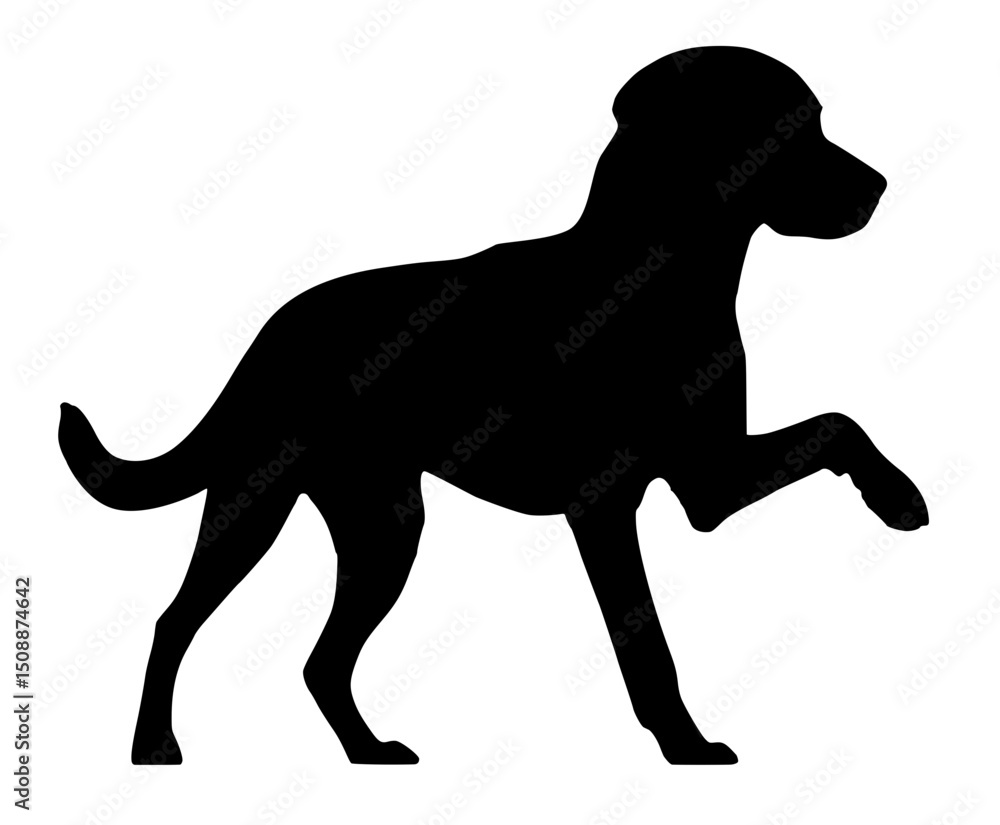 Naklejka premium Hund hebt Pfote