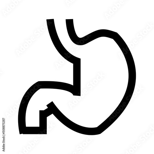 human stomach outline icon vector 
