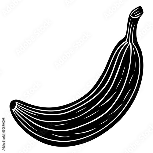 vector illustration of an apple